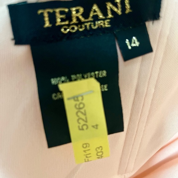 Champagne color Terani Couture gown - Picture 7 of 7